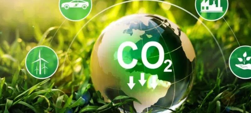 Em risco no País, mercado de carbono exige simplificação