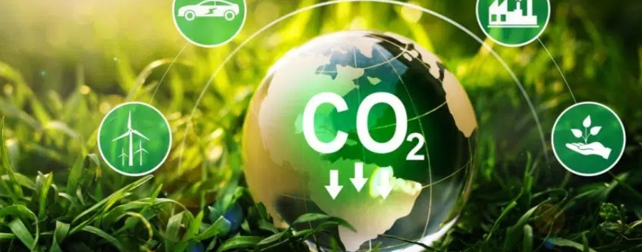 Em risco no País, mercado de carbono exige simplificação