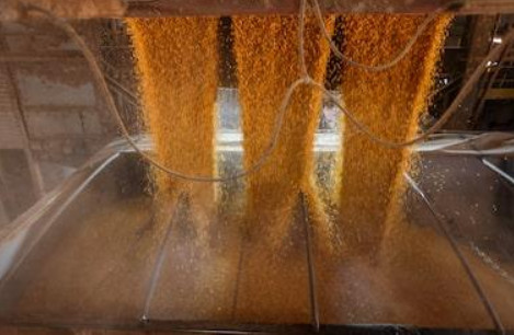 Exportação recorde: Veja em cinco gráficos o desempenho da balança em 2025